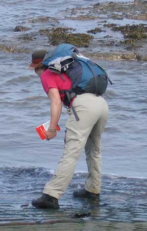 After tenderly carrying her pebble all the way from St Bees, Steff deposits it into the North Sea. Steff deposits her part of St Bees in the North Sea