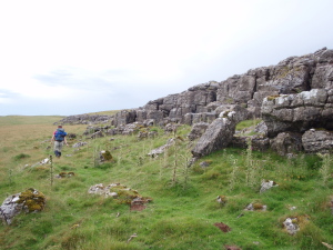 Limstone outcrops