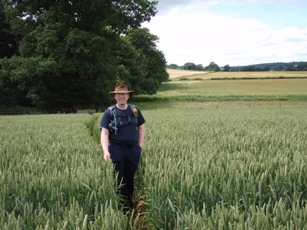 Steve in a wheat field
